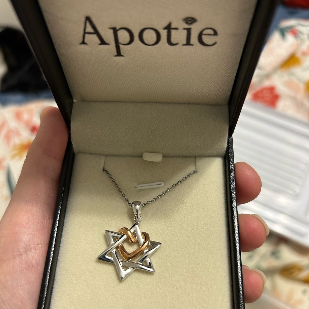 Apotie silver necklace